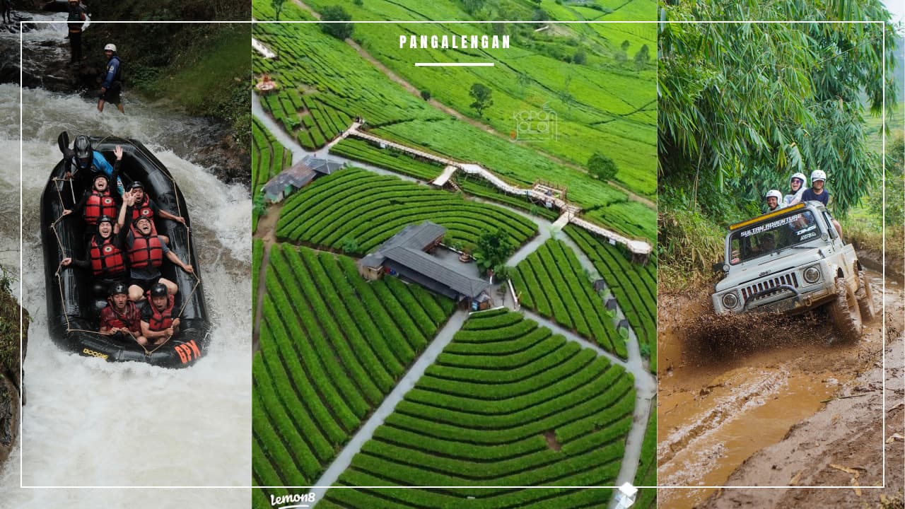 Custom Trip Background